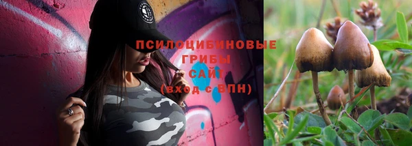 шишки Армянск