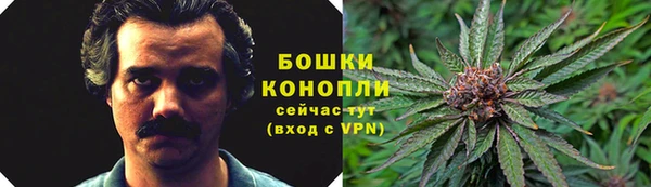 шишки Армянск
