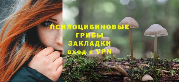 молекула духа Аркадак