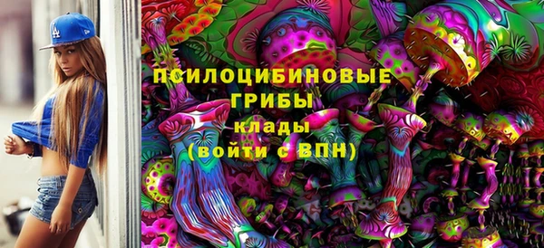шишки Армянск